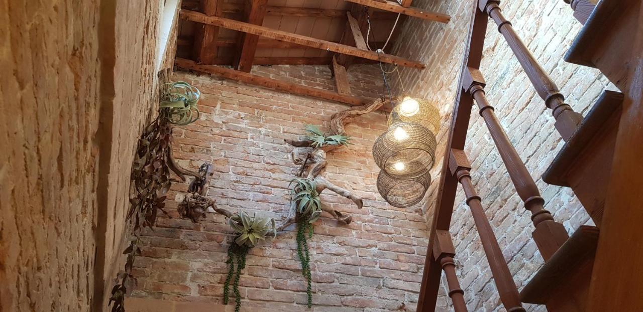 Maison Du Flaneur Chioggia Eksteriør billede